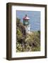 Makapu'U Point Lighthouse, Oahu, Hawaii-Michael DeFreitas-Framed Photographic Print