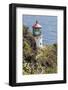 Makapu'U Point Lighthouse, Oahu, Hawaii-Michael DeFreitas-Framed Photographic Print