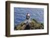 Makapu'U Point Lighthouse, Oahu, Hawaii-Michael DeFreitas-Framed Photographic Print