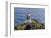 Makapu'U Point Lighthouse, Oahu, Hawaii-Michael DeFreitas-Framed Photographic Print