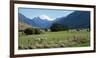 Makarora-Lake Hawea Road, State Highway 6, Queenstown-Lakes District, Otago Region, South Island...-null-Framed Photographic Print