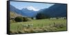 Makarora-Lake Hawea Road, State Highway 6, Queenstown-Lakes District, Otago Region, South Island...-null-Framed Stretched Canvas