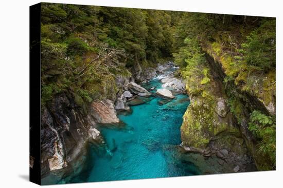 Makarora, New Zealand. The Blue Pools of Makarora offer enticing blue waters to swim in.-Micah Wright-Stretched Canvas