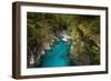 Makarora, New Zealand. The Blue Pools of Makarora offer enticing blue waters to swim in.-Micah Wright-Framed Photographic Print