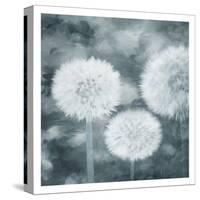 Make A Wish-Milli Villa-Stretched Canvas