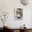 Make a Wish-Gail Goodwin-Mounted Giclee Print displayed on a wall