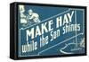 Make Hay While the Son Shines-null-Framed Stretched Canvas