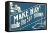 Make Hay While the Son Shines-null-Framed Stretched Canvas