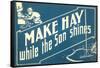 Make Hay While the Son Shines-null-Framed Stretched Canvas