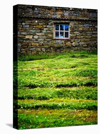 Make Hay While the Sun Shines-Doug Chinnery-Stretched Canvas