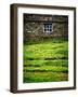 Make Hay While the Sun Shines-Doug Chinnery-Framed Photographic Print