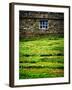 Make Hay While the Sun Shines-Doug Chinnery-Framed Photographic Print