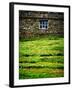 Make Hay While the Sun Shines-Doug Chinnery-Framed Photographic Print