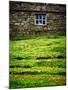 Make Hay While the Sun Shines-Doug Chinnery-Mounted Photographic Print