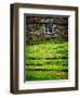 Make Hay While the Sun Shines-Doug Chinnery-Framed Photographic Print