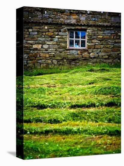 Make Hay While the Sun Shines-Doug Chinnery-Stretched Canvas