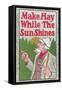 Make Hay While the Sun Shines-null-Framed Stretched Canvas