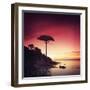 Make it Real for Me-Philippe Sainte-Laudy-Framed Photographic Print