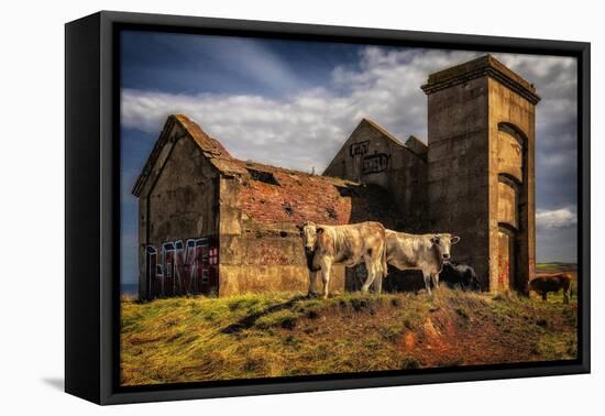 Make Love Not Beef, 2021, (photograph)-Ant Smith-Framed Stretched Canvas