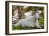 Make Me Smile-Michael Blanchette-Framed Photographic Print