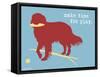 Make Time For Play-Dog is Good-Framed Stretched Canvas