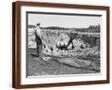 Brown Frame