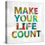 Make Your Life Count in Color-Jamie MacDowell-Stretched Canvas