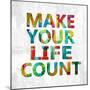 Make Your Life Count in Color-Jamie MacDowell-Mounted Art Print