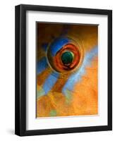 Makeup-Andrey Narchuk-Framed Photographic Print