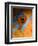 Makeup-Andrey Narchuk-Framed Photographic Print