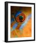 Makeup-Andrey Narchuk-Framed Photographic Print