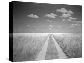 Makgadikgadi Pans National Park, Botswana-Paul Souders-Stretched Canvas