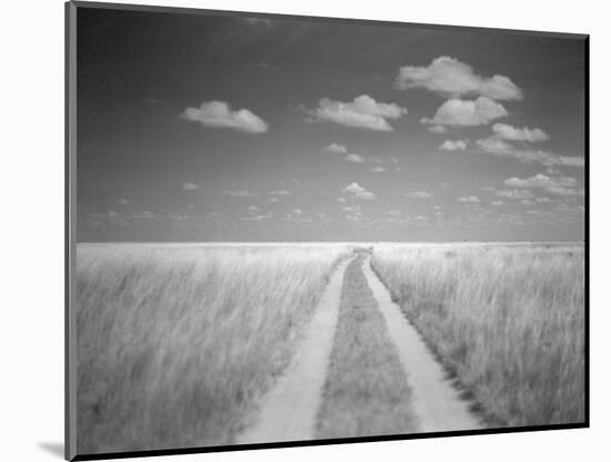 Makgadikgadi Pans National Park, Botswana-Paul Souders-Mounted Photographic Print