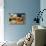 Making Cupcake with Shallow Depth of Field-zurijeta-Stretched Canvas displayed on a wall