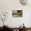 Making Cupcake with Shallow Depth of Field-zurijeta-Photographic Print displayed on a wall