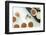 Making Cupcake with Shallow Depth of Field-zurijeta-Framed Photographic Print