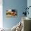 Making Cupcake with Shallow Depth of Field-zurijeta-Photographic Print displayed on a wall