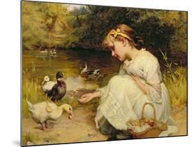 Making Friends, 1885-Frederick Morgan-Mounted Giclee Print