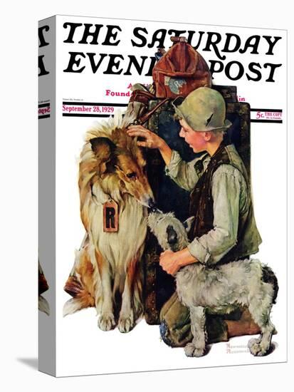 "Making Friends" or "Raleigh Rockwell" Saturday Evening Post Cover, September 28,1929-Norman Rockwell-Stretched Canvas