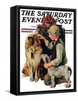 "Making Friends" or "Raleigh Rockwell" Saturday Evening Post Cover, September 28,1929-Norman Rockwell-Framed Stretched Canvas