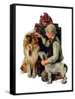 "Making Friends" or "Raleigh Rockwell", September 28,1929-Norman Rockwell-Framed Stretched Canvas