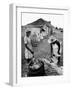 Making Guava Jelly, a Staple of Diet on Great Exuma Island, Bahamas, C.1978-null-Framed Photographic Print