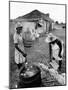 Making Guava Jelly, a Staple of Diet on Great Exuma Island, Bahamas, C.1978-null-Mounted Photographic Print