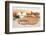 Making Homemade Pumpkin Dog Biscuits-Rojoimages-Framed Photographic Print