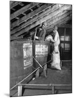 Making Jack Daniels Whiskey at His Distillery, Showing the Leaching Process with Charcoal-null-Mounted Photographic Print