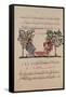 Making Lead, Page from an Arabic Edition of the Treaty of Dioscorides, "De Materia Medica," 1222-Ibn Al Farl-Izzz-Framed Stretched Canvas