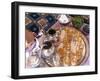 Making Mint Tea, Morocco-Peter Adams-Framed Photographic Print