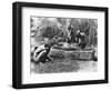 Making Palm Oil in Dahomey,circa 1900-null-Framed Giclee Print