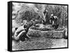 Making Palm Oil in Dahomey,circa 1900-null-Framed Stretched Canvas