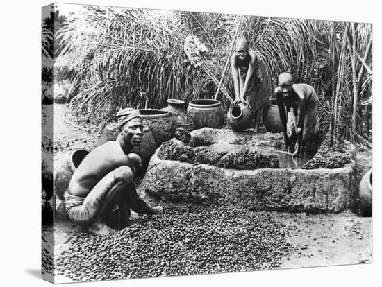 Making Palm Oil in Dahomey,circa 1900-null-Stretched Canvas